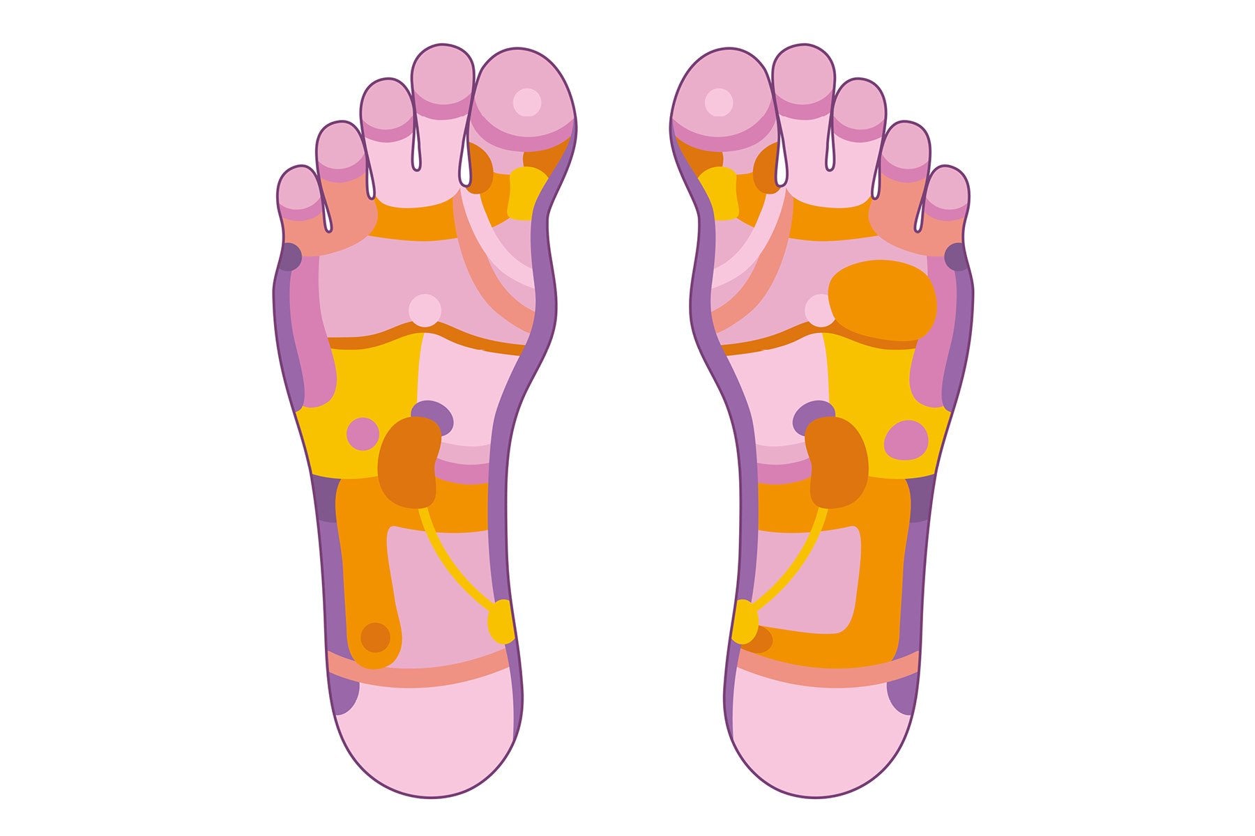 1 Pair Human Feet Acupoint Model Foot Reflexology Acupuncture Point Massage  | eBay